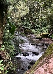 Sometimes It Takes More Than a Village (AKA Gratitude)